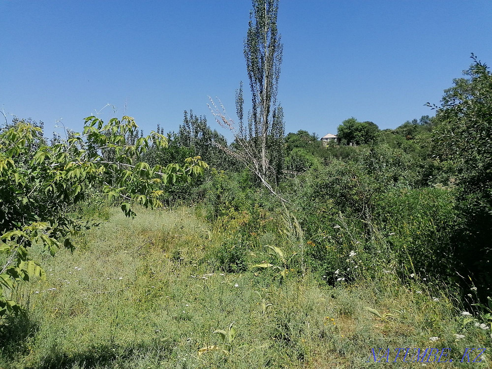  region  Almaty - photo 6