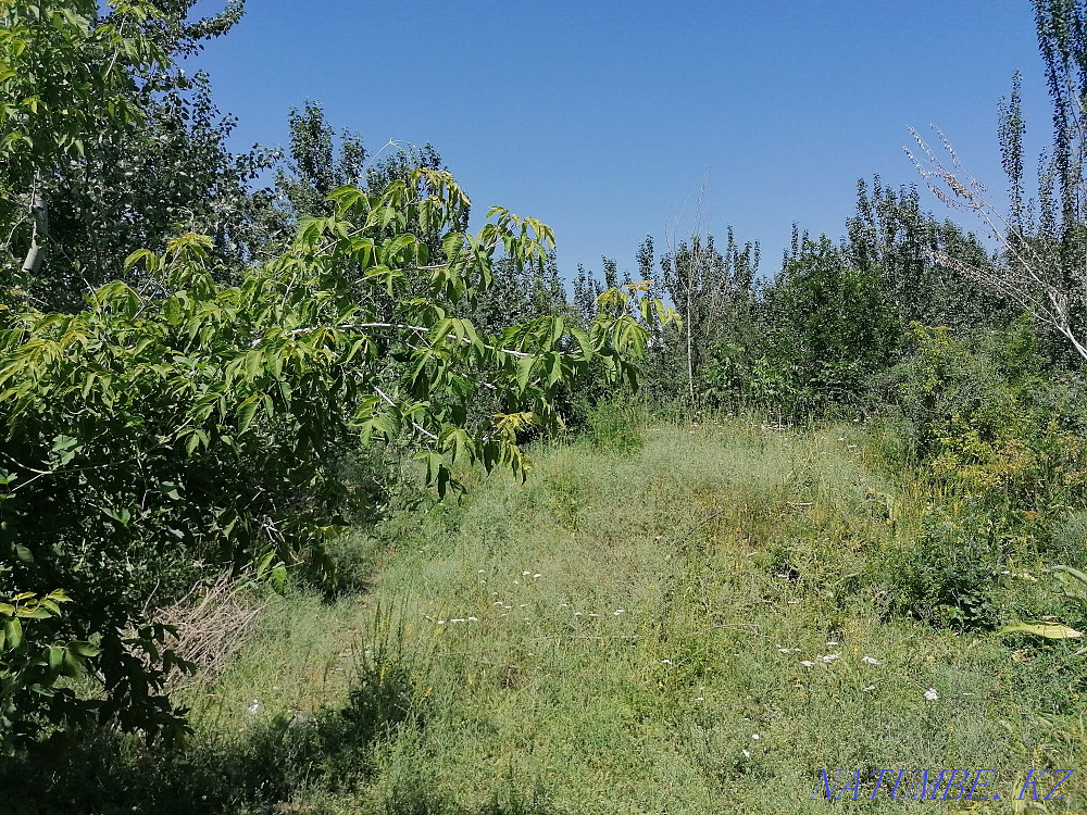  region  Almaty - photo 4