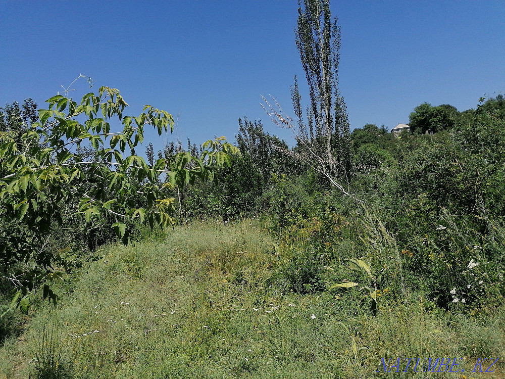  region  Almaty - photo 5