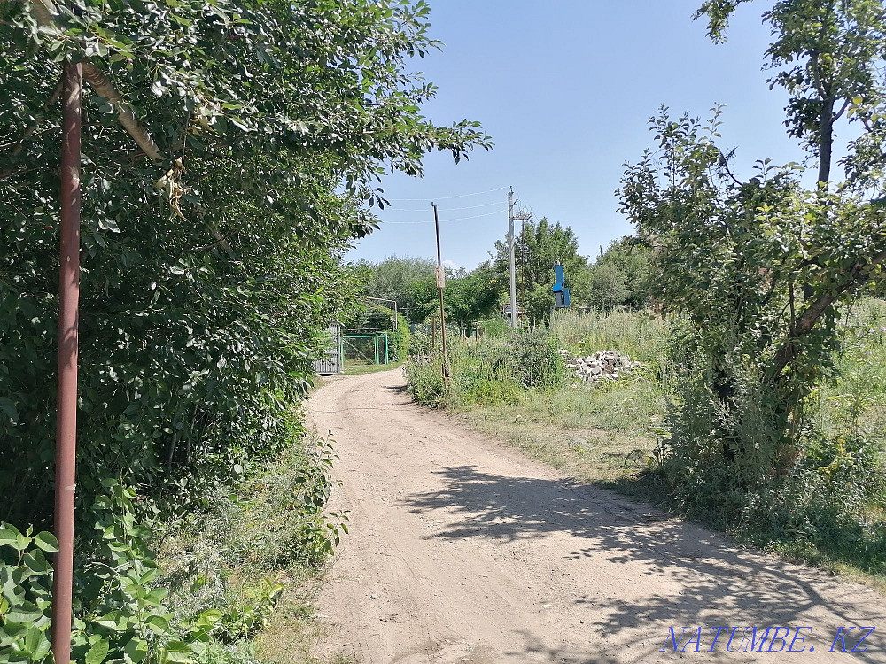  region  Almaty - photo 7
