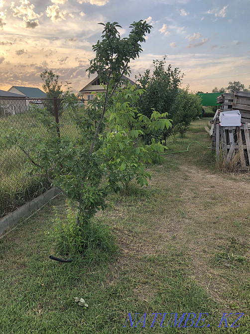   участок   Алматы - изображение 4