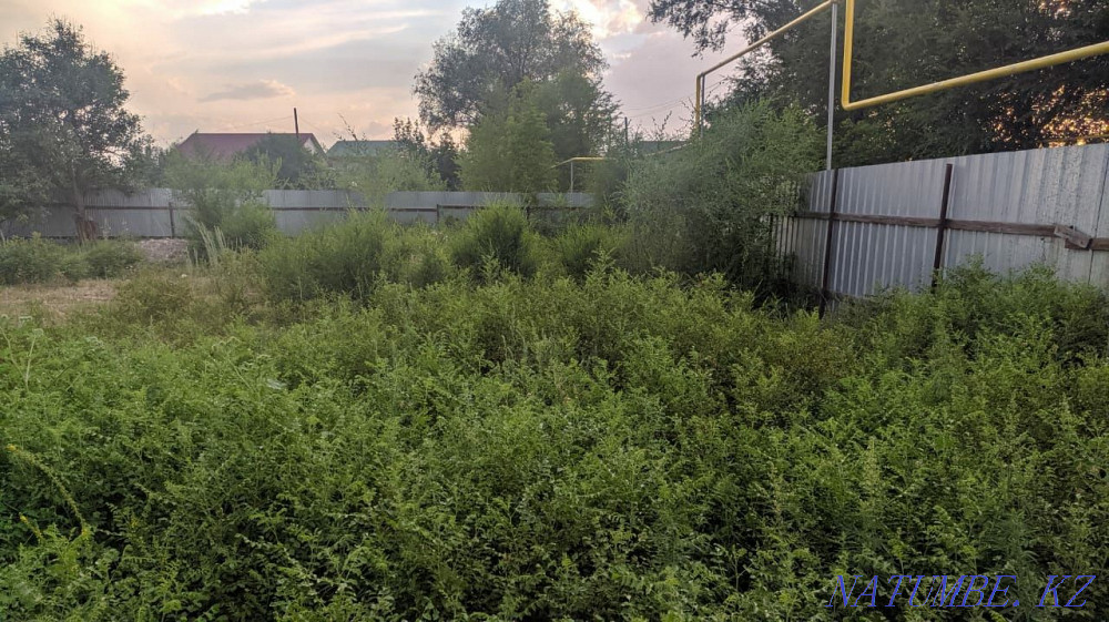  участок   Алматы - изображение 17
