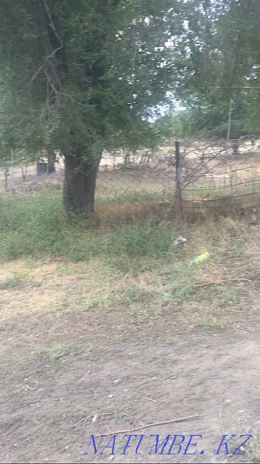   участок   Алматы - изображение 1