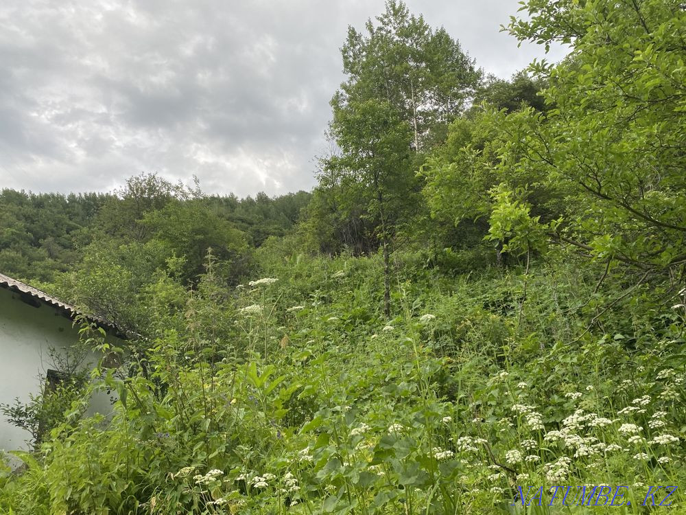   участок   Алматы - изображение 3