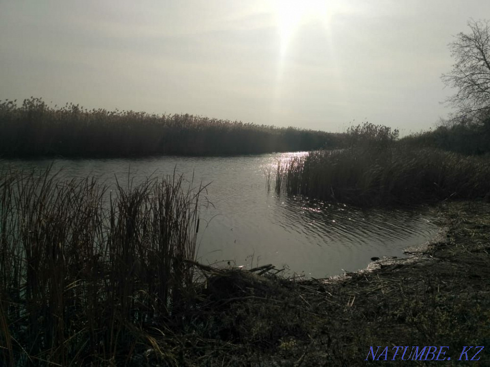 plot Almaty - photo 4