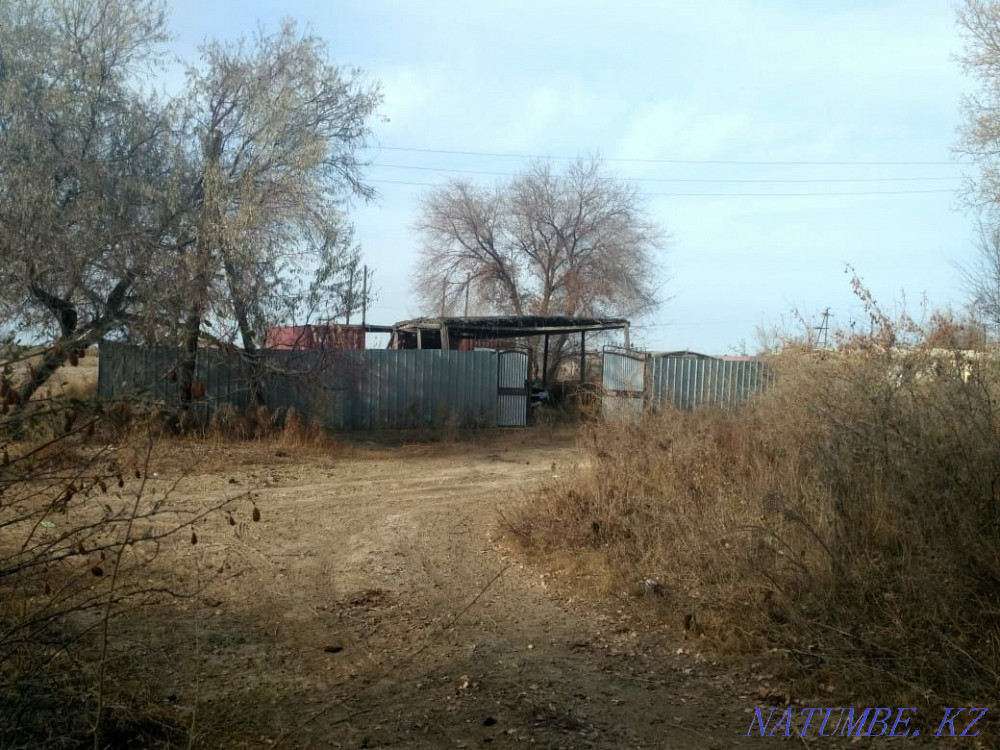 plot Almaty - photo 5