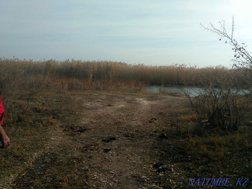 plot Almaty - photo 3