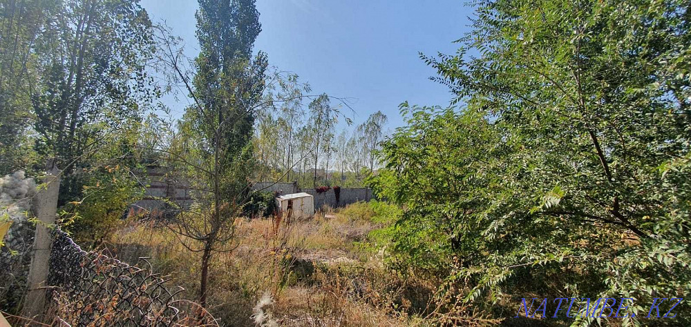  участок  Алматы - изображение 10