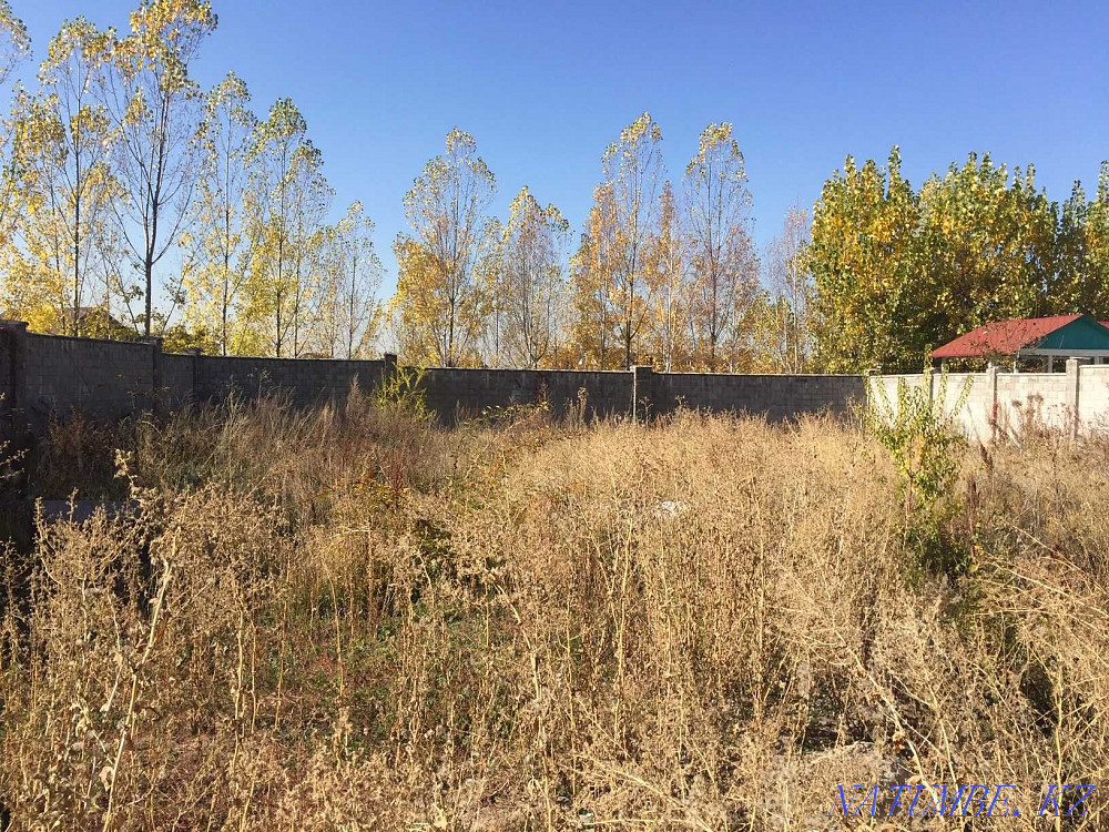   участок  Алматы - изображение 5