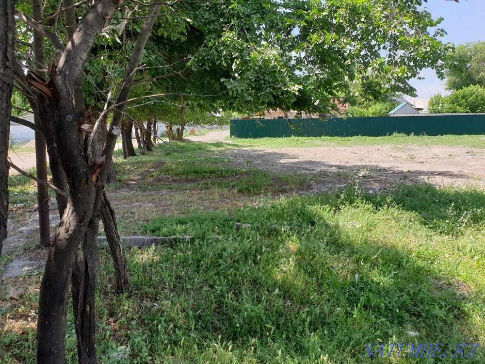  region  Almaty - photo 3