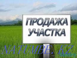  region  Almaty - photo 1