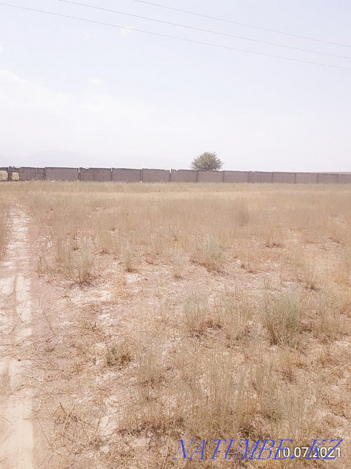 plot Almaty - photo 2