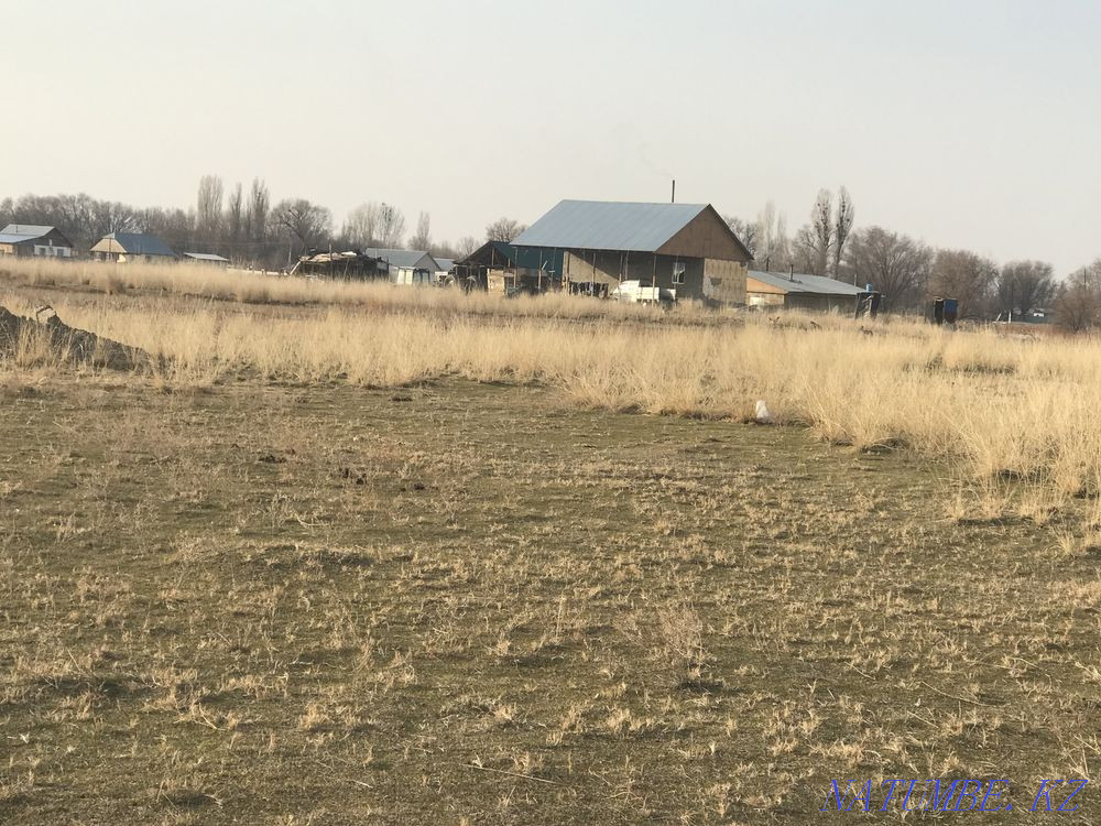  region  Almaty - photo 6