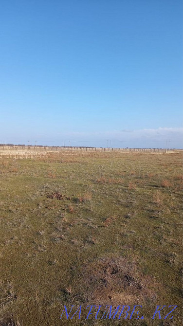  region  Almaty - photo 4