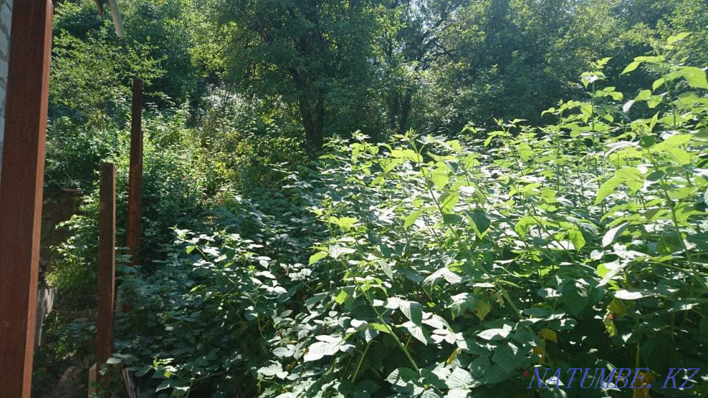   участок  Алматы - изображение 5