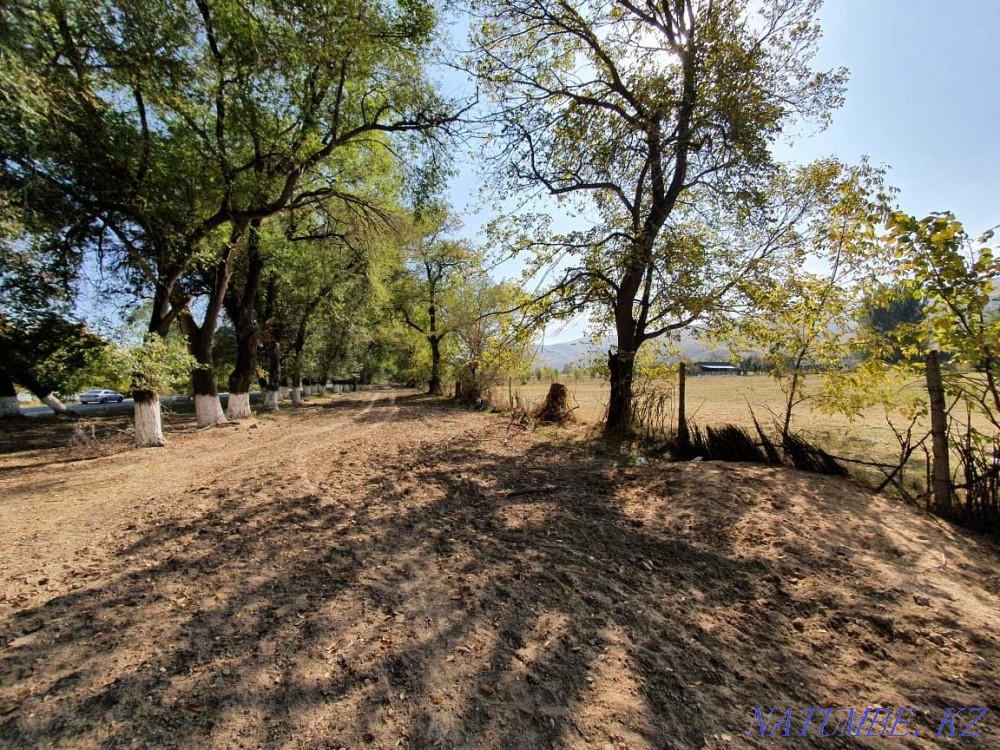 plot Almaty - photo 7