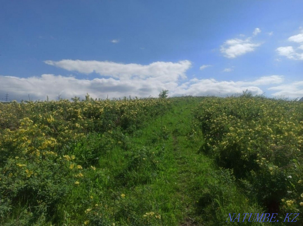   участок   Алматы - изображение 4