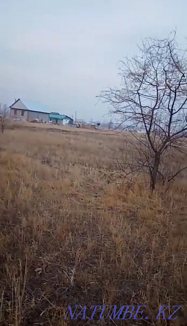   участок   Алматы - изображение 4
