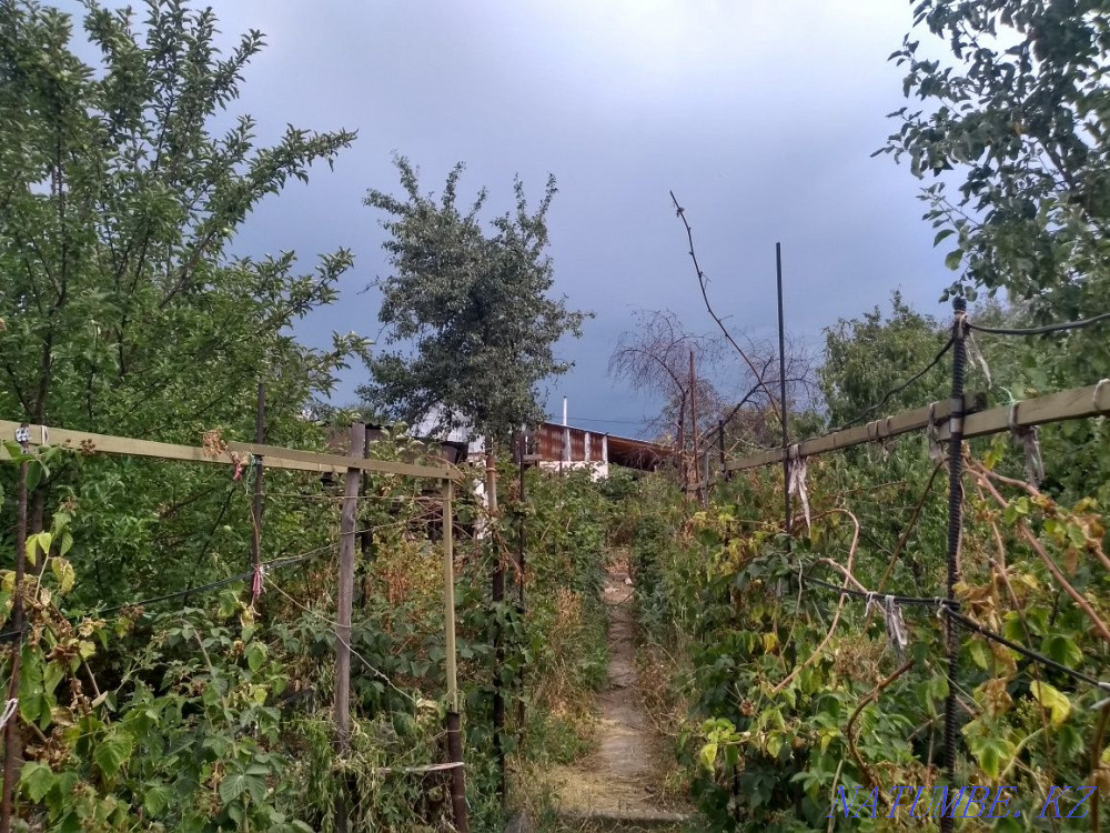   участок   Алматы - изображение 11