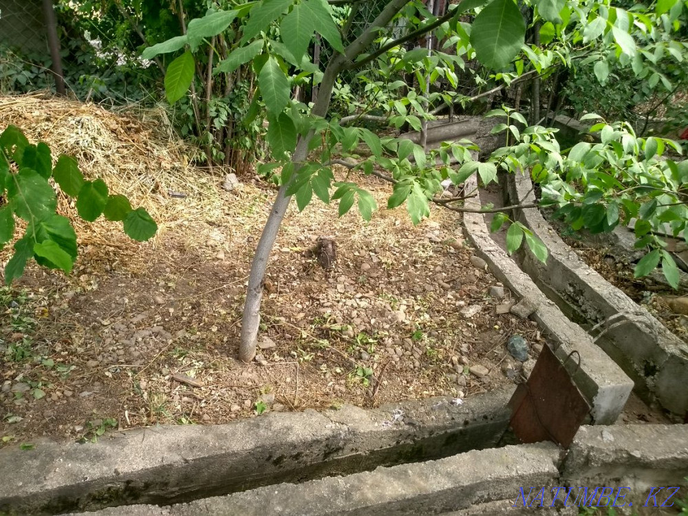   участок   Алматы - изображение 9