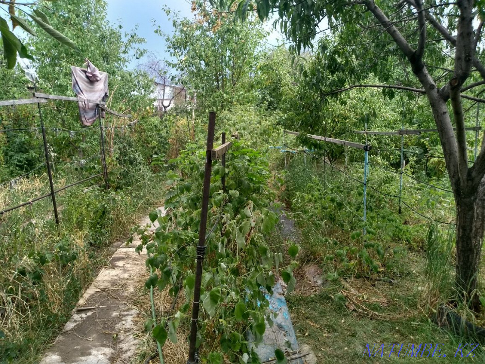   участок   Алматы - изображение 18