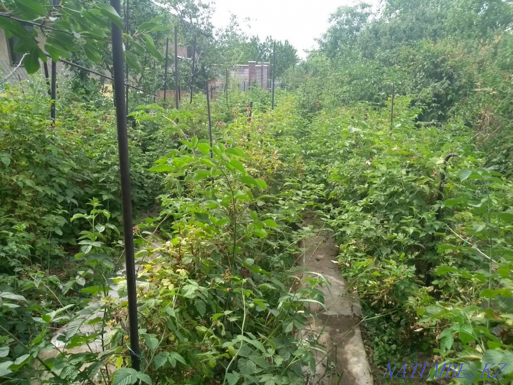   участок   Алматы - изображение 10