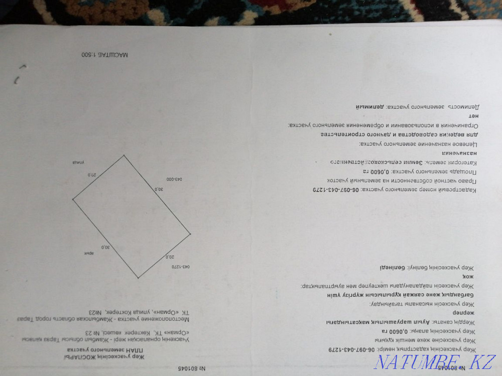 plot Almaty - photo 2