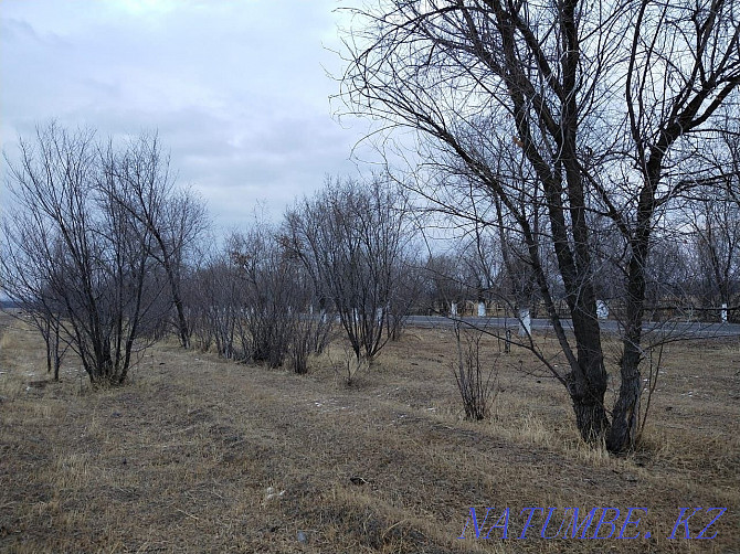 plot Almaty - photo 6