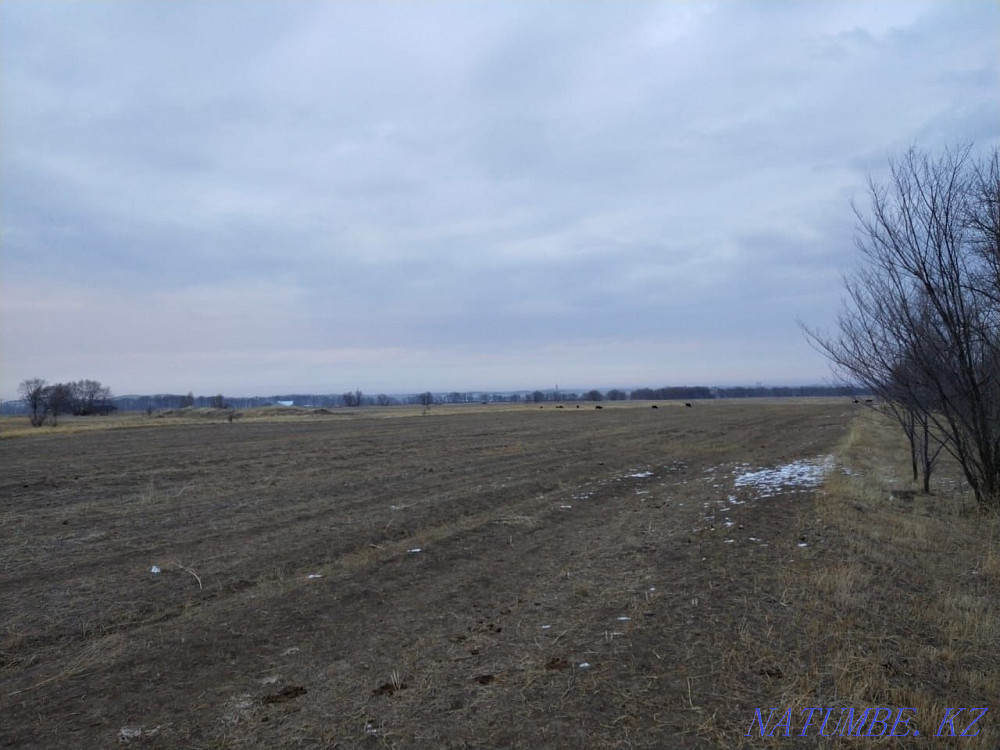   участок  Алматы - изображение 3