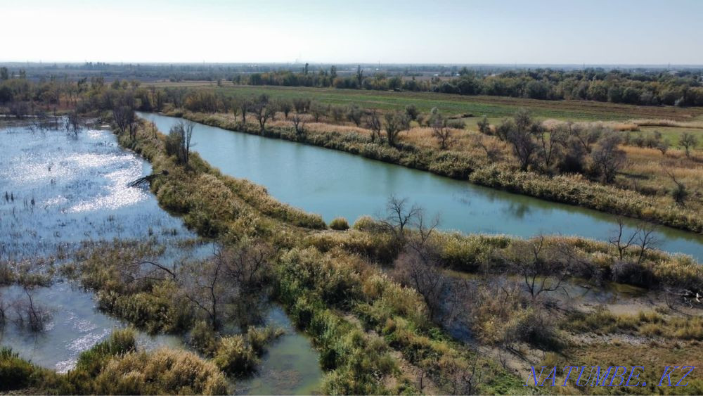   участок   Алматы - изображение 8