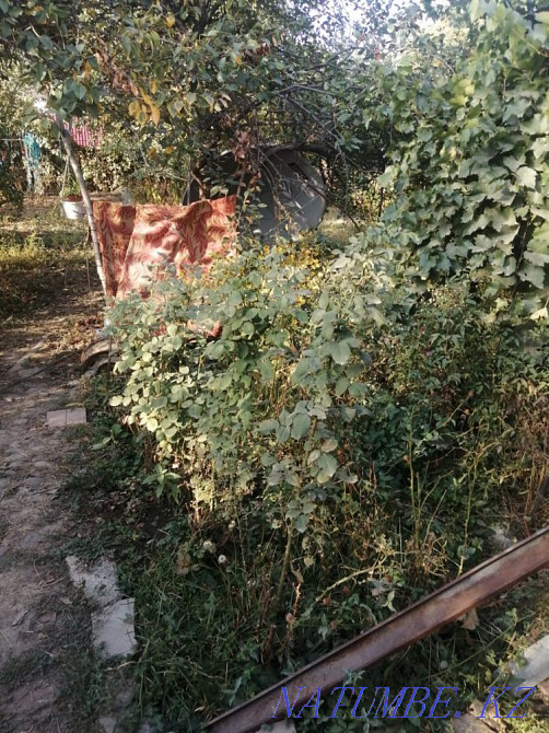   участок   Алматы - изображение 7