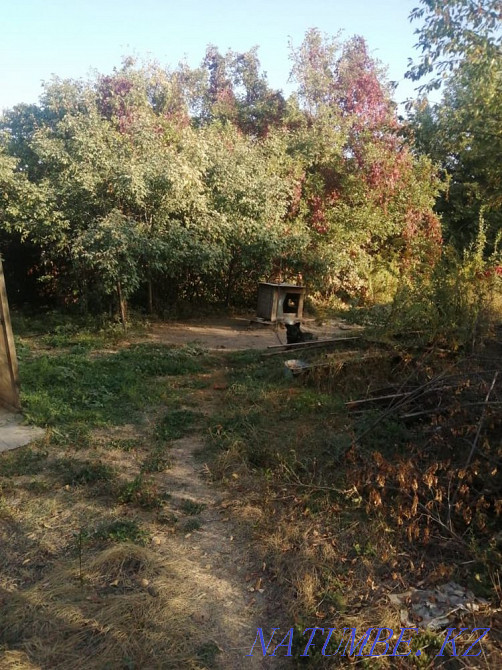   участок   Алматы - изображение 12