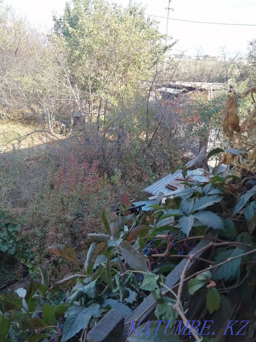   участок   Алматы - изображение 17