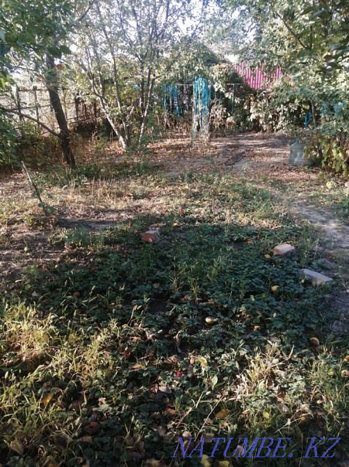   участок   Алматы - изображение 4