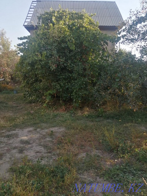   участок   Алматы - изображение 5