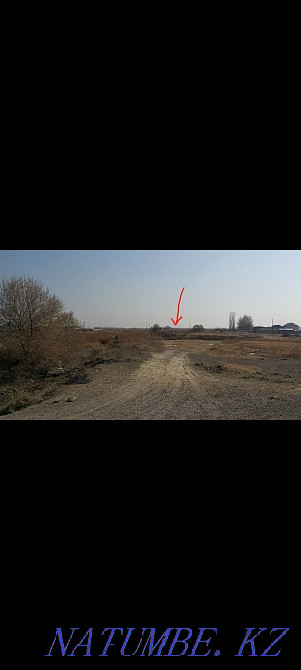 plot Almaty - photo 3