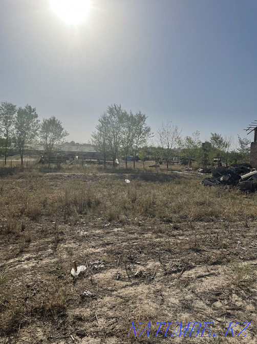 plot Almaty - photo 5