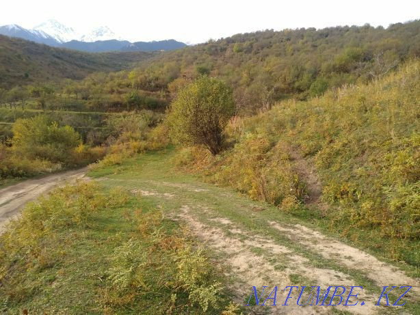   участок  Алматы - изображение 8