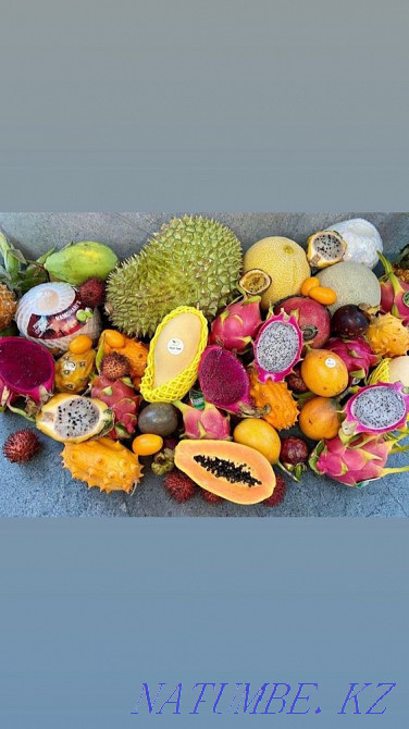   участок  Алматы - изображение 1