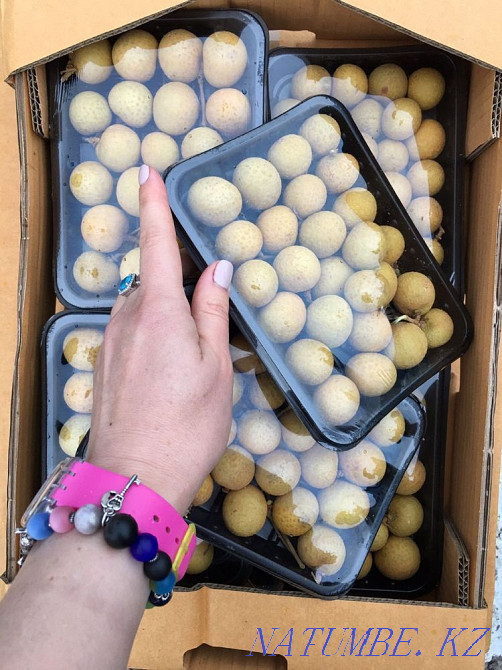   участок  Алматы - изображение 7