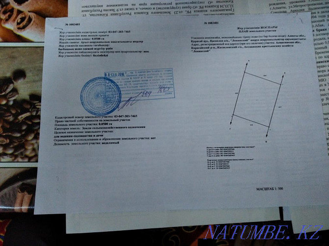   сюжет   Алматы - изображение 2