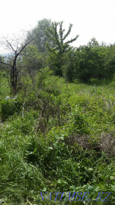 plot Almaty - photo 1