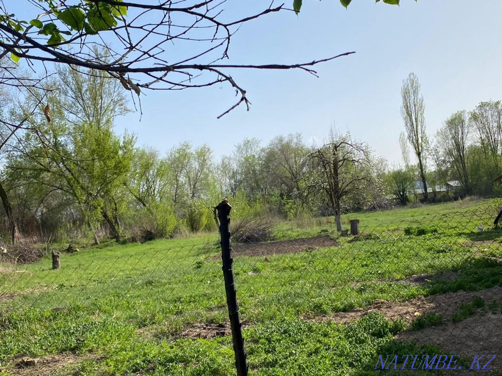   участок   Алматы - изображение 2
