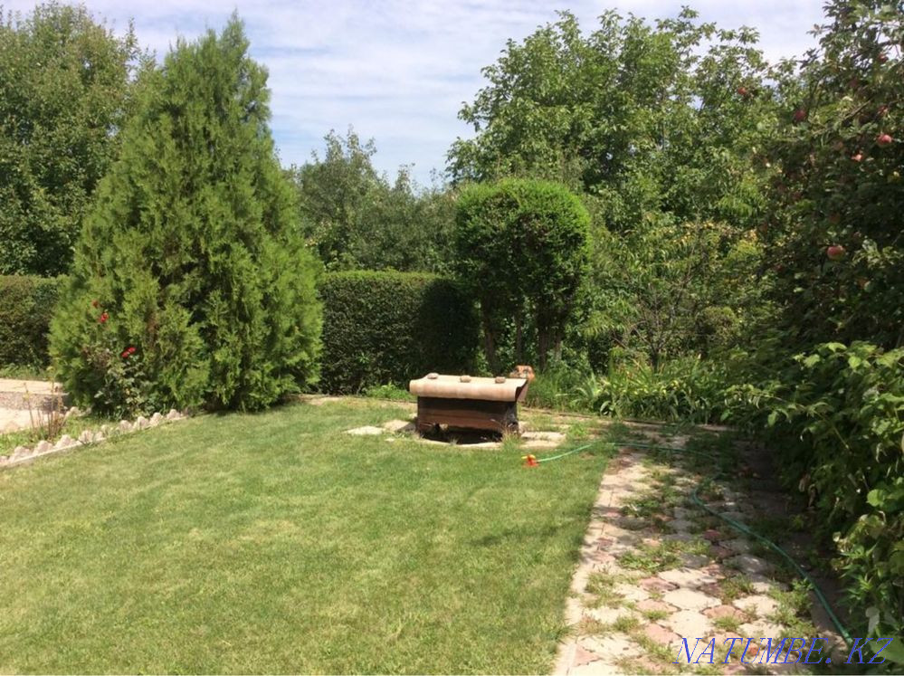  region  Almaty - photo 3