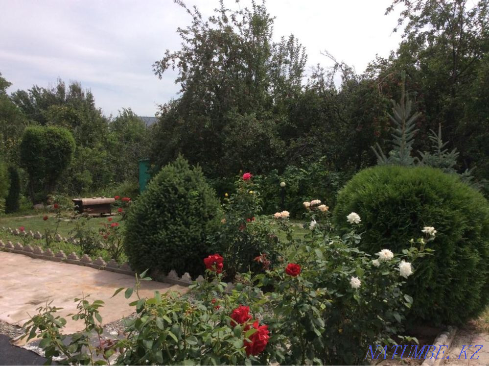  region  Almaty - photo 5