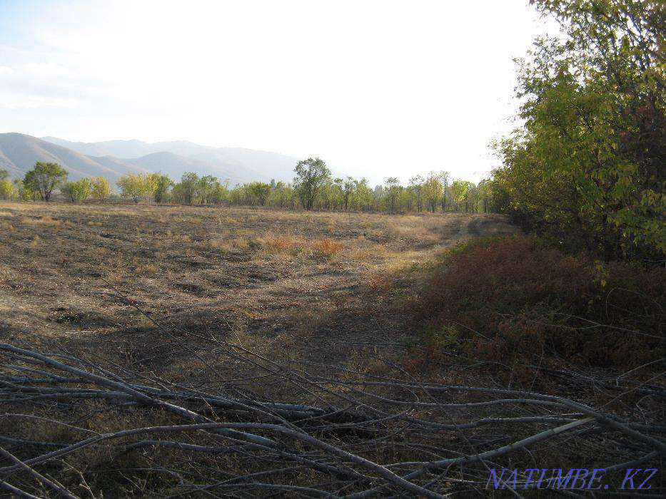   участок  Алматы - изображение 3