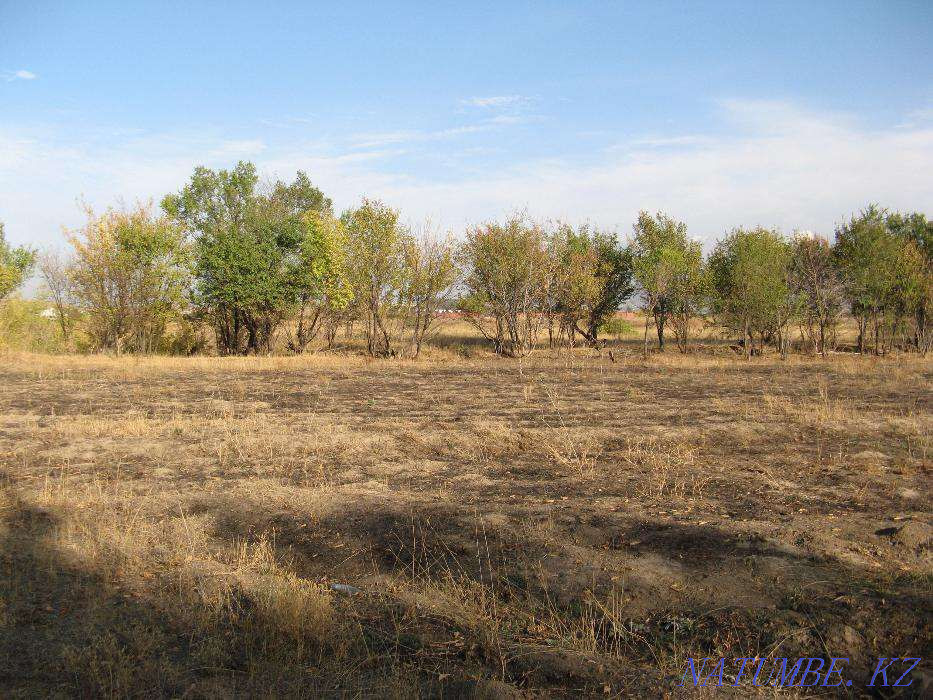   участок  Алматы - изображение 1