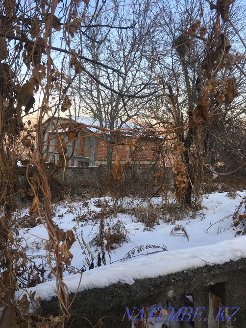 plot Almaty - photo 3