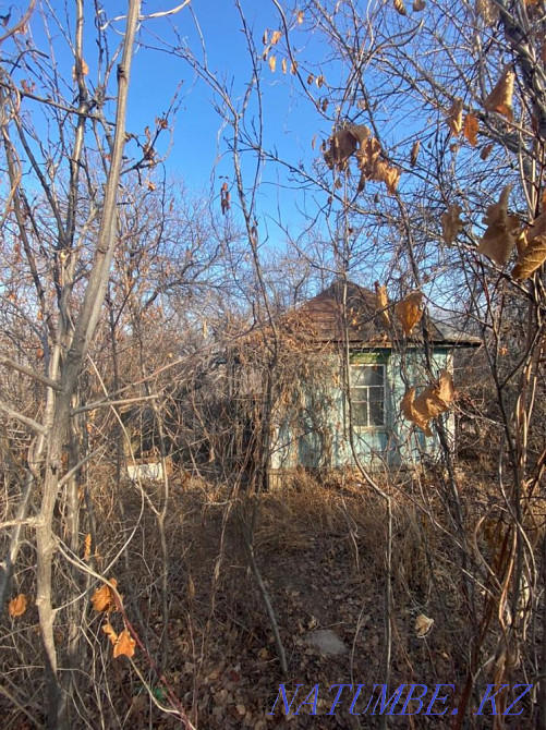   сюжет   Алматы - изображение 2