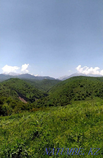   участок  Алматы - изображение 5